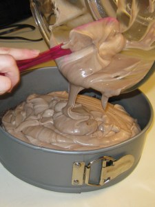 fozen chocolate cheesecake