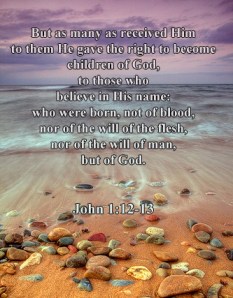 But as many as received Him, to them He gave the right to become children of God, to those who believe in His name: who were born, not of blood, nor of the will of the flesh, nor of the will of man, but of God. John 1:12-13
