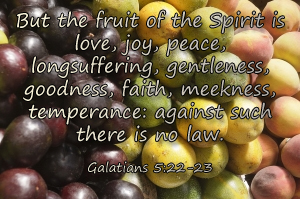 "Redefining Meekness" marissabaker.wordpress.com