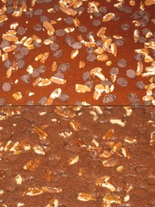 Speedy Brownie recipe marissabaker.wordpress.com