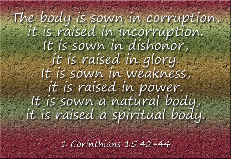 "Gift of Mortality" a blog post by marissabaker.wordpress.com