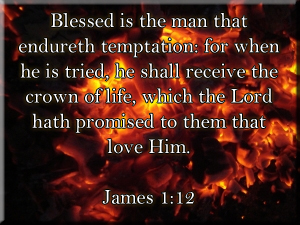 "Necessary Fire" a blog post by marissabaker.wordpress.com