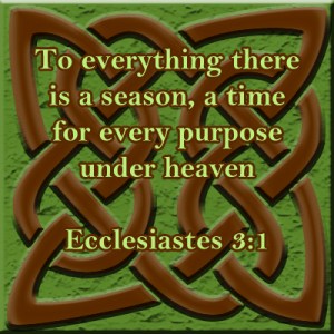 "Times and Seasons" by marissabaker.wordpress.com