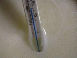 No-Knead Cinnamon Roll recipe, marissabaker.wordpress.com