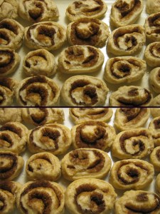 No-Knead Cinnamon Roll recipe, marissabaker.wordpress.com