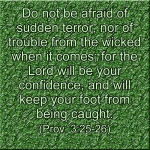 Five Favorite Proverbs by marissabaker.wordpress.com