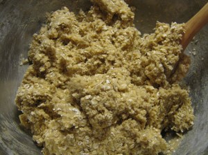 Oatmeal Cookie recipe. marissabaker.wordpress.com