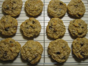 Oatmeal Cookie recipe. marissabaker.wordpress.com