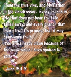 "Finding Christ In Me" marissabaker.wordpress.com