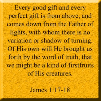 "Gleaning Firstfruits" marissabaker.wordpress.com