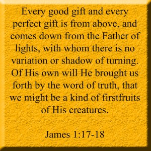 "Gleaning Firstfruits" marissabaker.wordpress.com