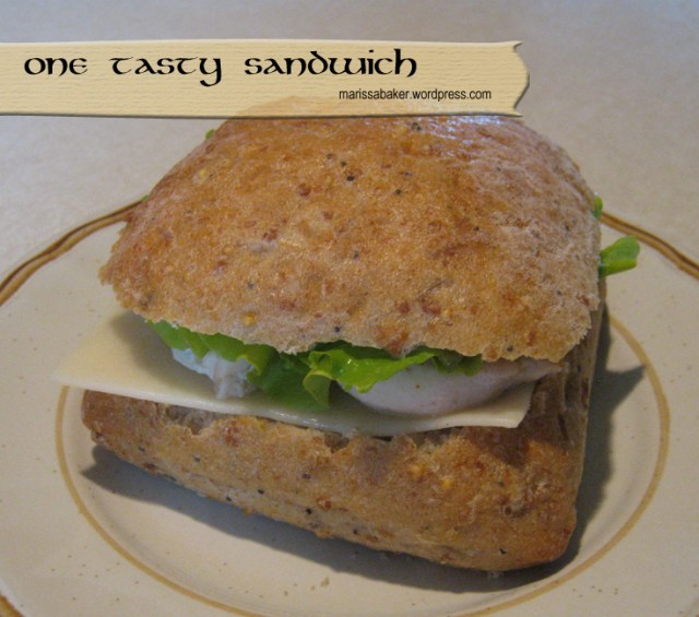 One Tasty Sandwich and A Tale of House-sitting marissabaker.wordpress.com