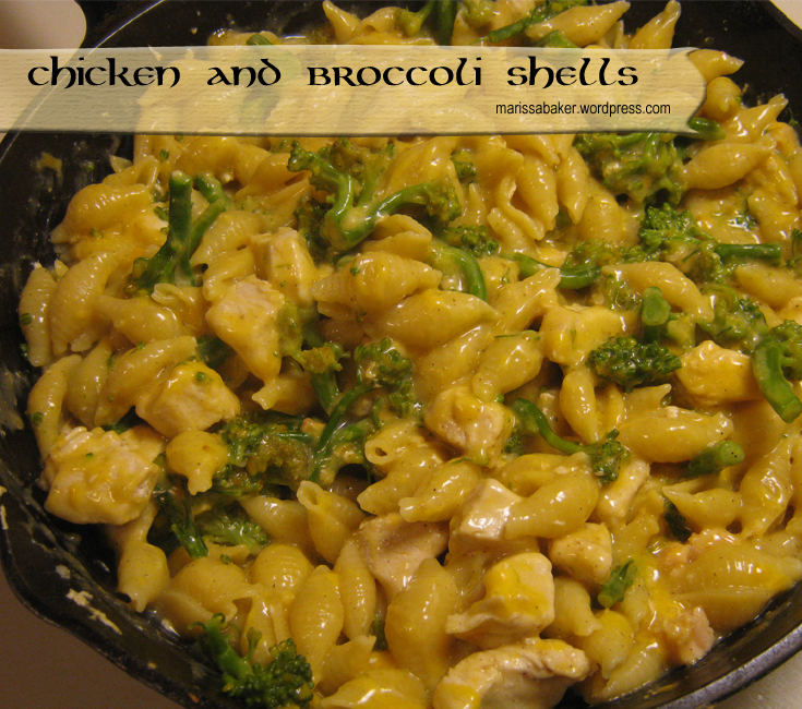 Chicken and Broccoli Shells | marissabaker.wordpress.com