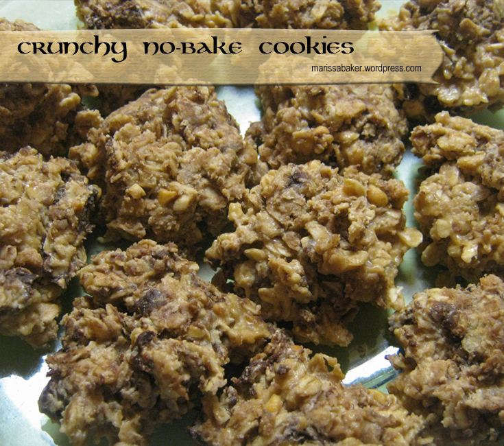 Crunchy No-Bake Cookies | marissabaker.wordpress.com