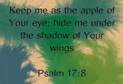 Under His Wings | marissabaker.wordpress.com