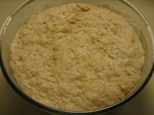 Easy No-Knead Bread | marissabaker.wordpress.com