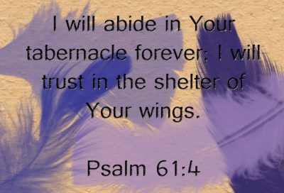 Under His Wings | marissabaker.wordpress.com