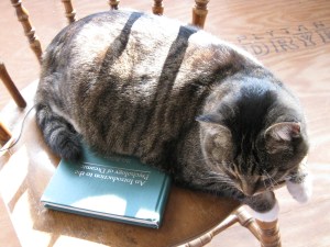 Tiger also appreciates psychology literature on dreaming. He's a well-read cat.