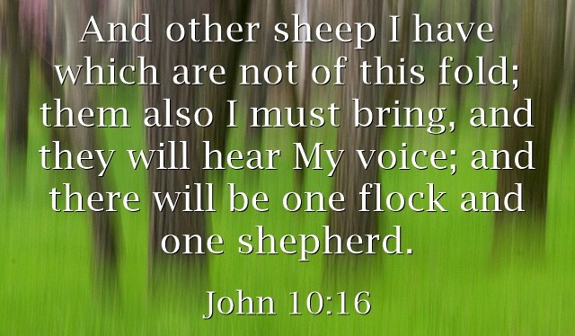 How Should We View Other Church&nbsp;Groups?