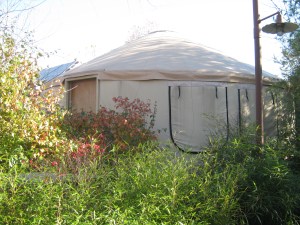 yurt, a.k.a. one of the cutest structures known to man