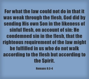 Does The Physical Matter? | marissabaker.wordpress.com