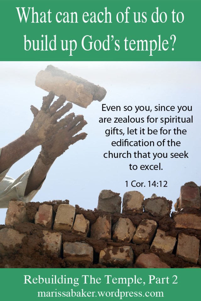 Building Up Temples | marissabaker.wordpress.com