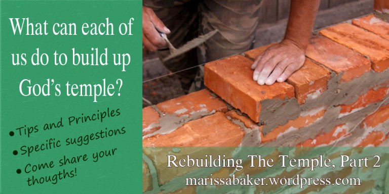 Building Up Temples | marissabaker.wordpress.com