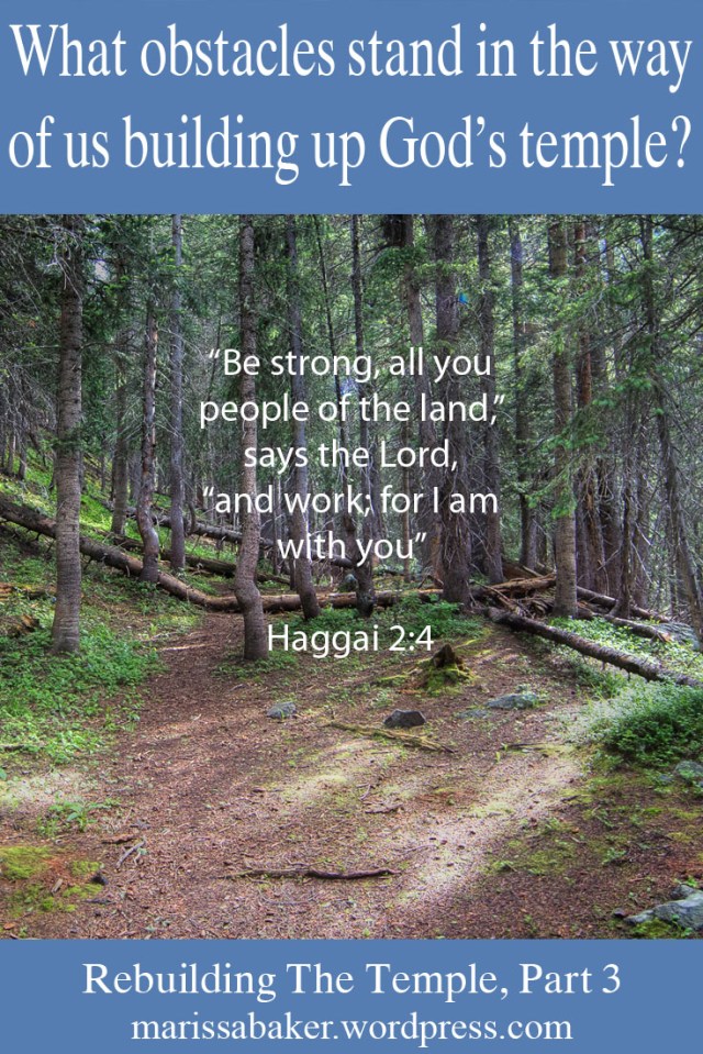 Obstacles To Temple Building | marissabaker.wordpress.com