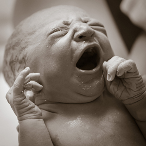 photo by Sander van der Wel, CC BY-SA via Flickr