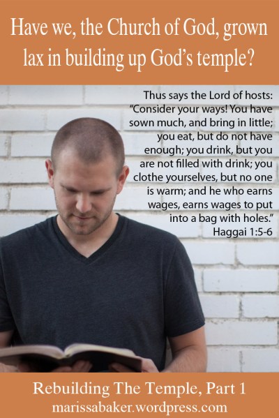 Consider Our Temples | marissabaker.wordpress.com