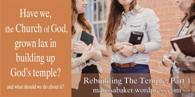 Consider Our Temples | marissabaker.wordpress.com