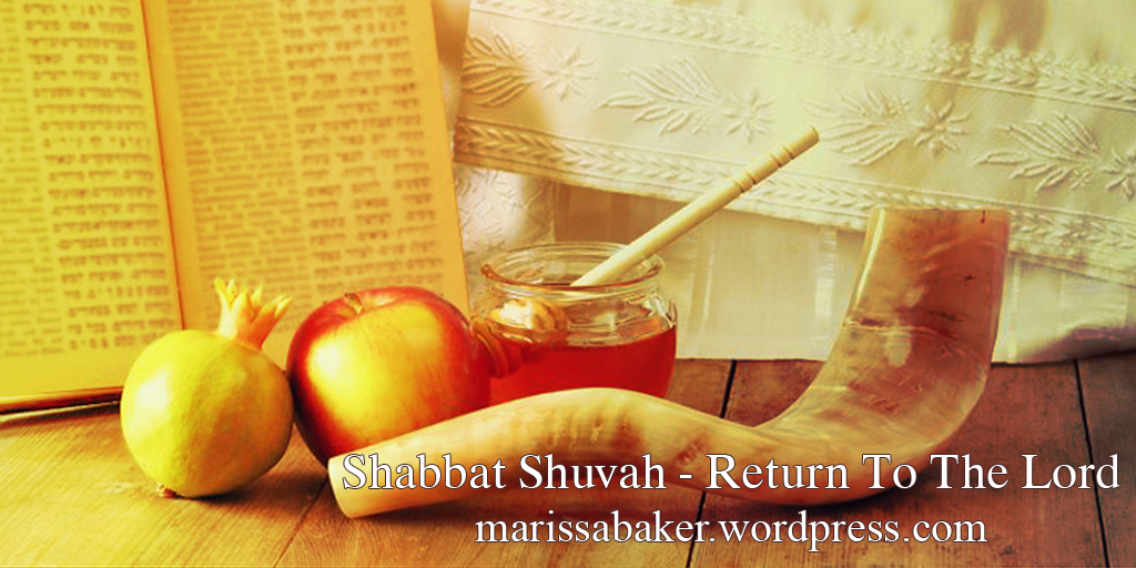 Shabbat Shuvah | marissabaker.wordpress.com