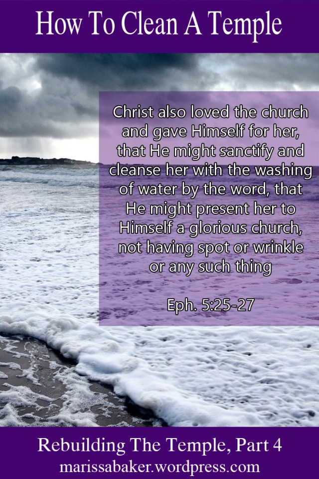 How To Clean A Temple| marissabaker.wordpress.com