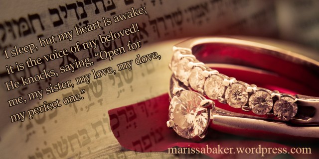 Unveiled | marissabaker.wordpress.com