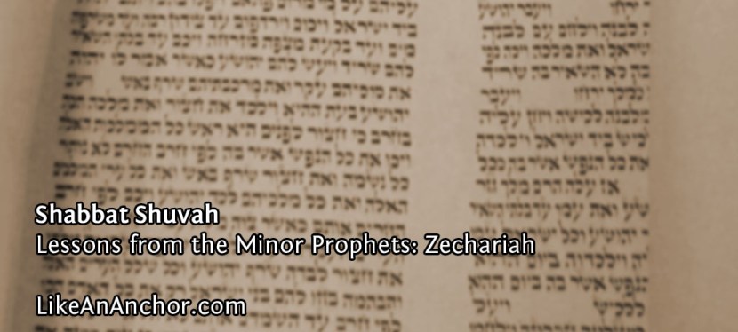 Shabbat Shuvah (Lessons from Zechariah)
