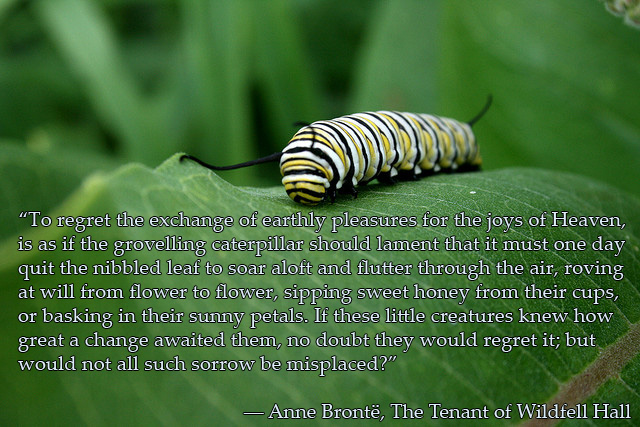 Women’s Classic Literature Event | marissabaker.wordpress.com