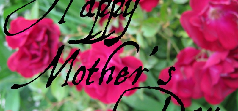 My Mother’s Personality&nbsp;Type