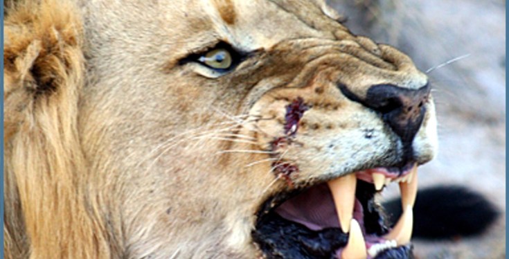 Anger Is Not A Sin (at least not all the&nbsp;time)