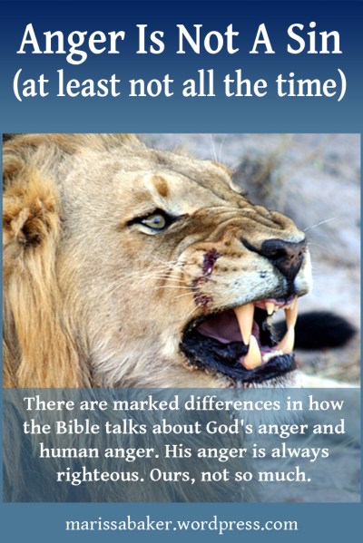 click to read article, "Anger Is Not A Sin (at least not all the time)" | marissabaker.wordpress.com
