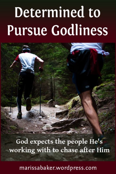 click to read article, "Determined to Pursue Godliness" | marissabaker.wordpress.com