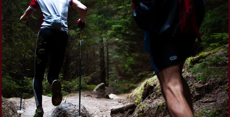 Determined to Pursue Godliness