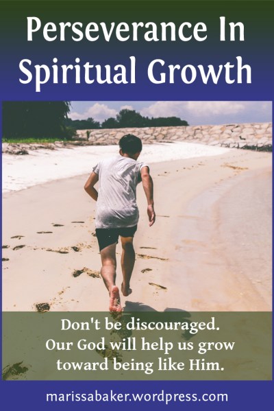 click to read article, "Perseverance In Spiritual Growth" | marissabaker.wordpress.com
