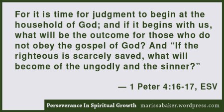 click to read article, "Perseverance In Spiritual Growth" | marissabaker.wordpress.com
