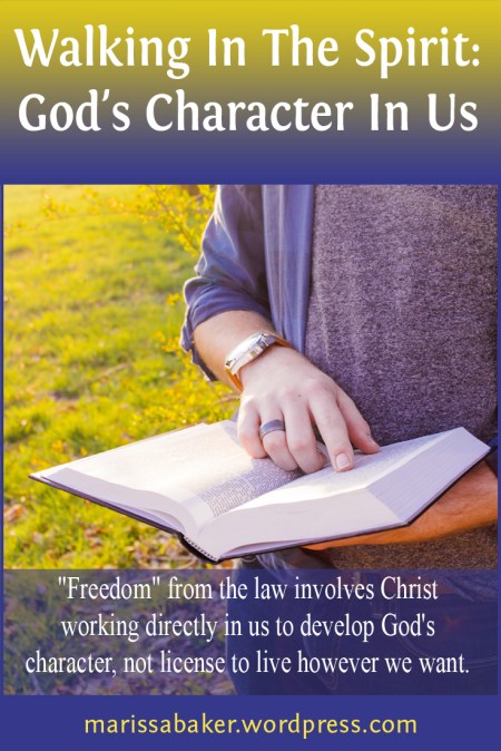 click to read article, "Walking In The Spirit: God's Character In Us" | marissabaker.wordpress.com