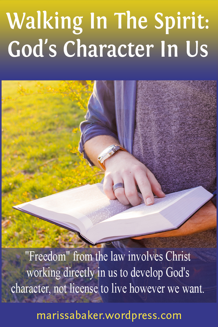 click to read article, "Walking In The Spirit: God's Character In Us" | marissabaker.wordpress.com