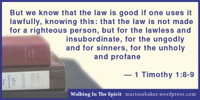 click to read article, "Walking In The Spirit: God's Character In Us" | marissabaker.wordpress.com