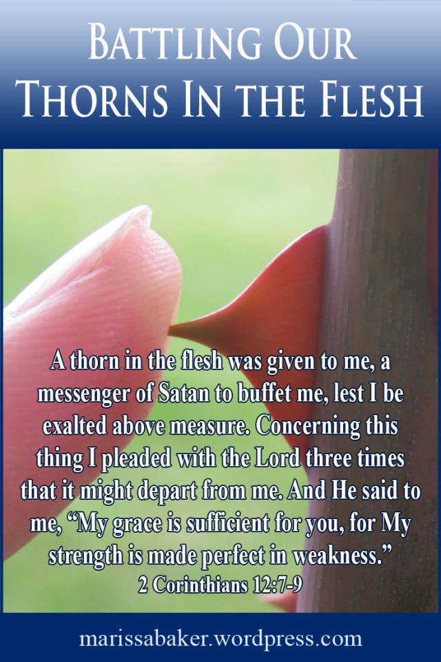 click to read article, "Battling Our Thorns In the Flesh" | marissabaker.wordpress.com
