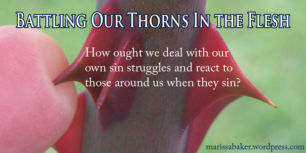click to read article, "Battling Our Thorns In the Flesh" | marissabaker.wordpress.com