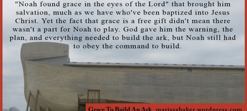 Grace To Build An&nbsp;Ark