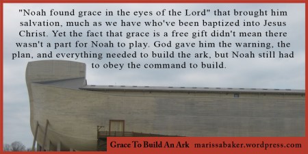 click to read article, "Grace To Build An Ark" | marissabaker.wordpress.com